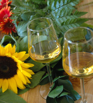 Girasole con calici